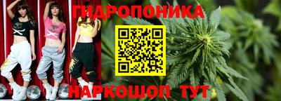 гидра Краснодар